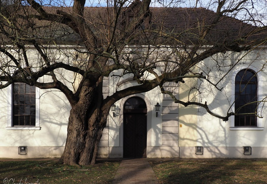 Reinickendorf