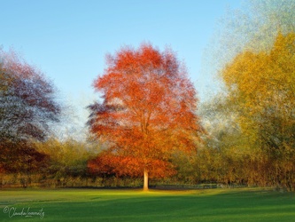 Berlin - Britzer Garten - Herbst