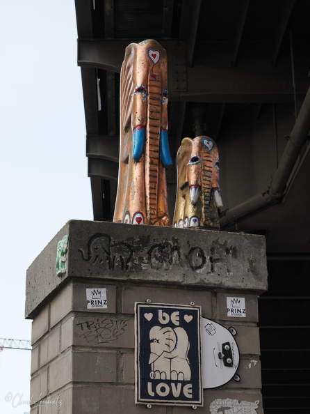 flickr-53711295467.jpg