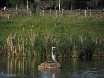 Berlin - Landschaftspark Rudow