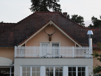 Berlin - Am Großen Wannsee